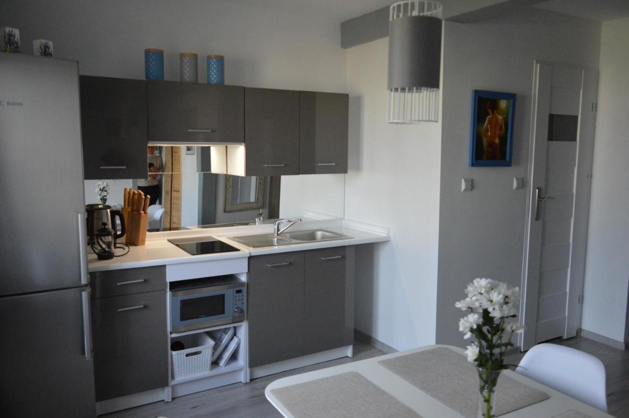 Karkonoskie Studio Mysłakowice 外观 照片